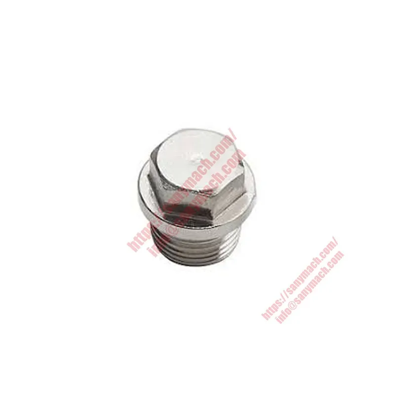 160102120007A004 Hexagon Screw Plug