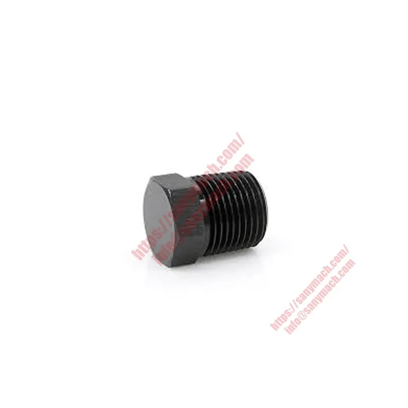 160102120008A007 Hexagon Screw Plug