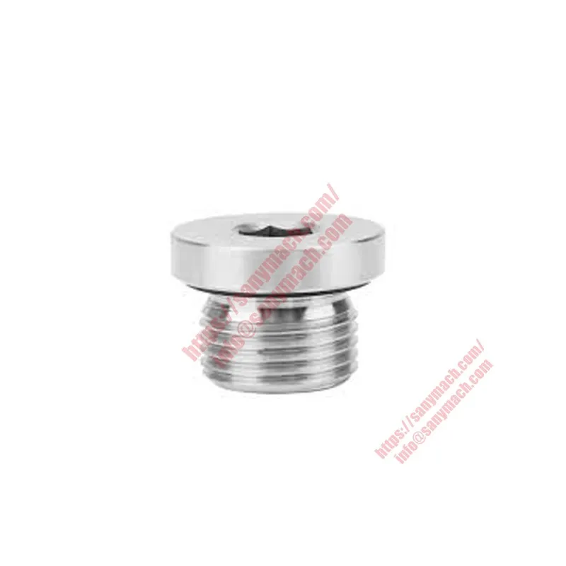 160102130003A006 Hexagon Screw Plug