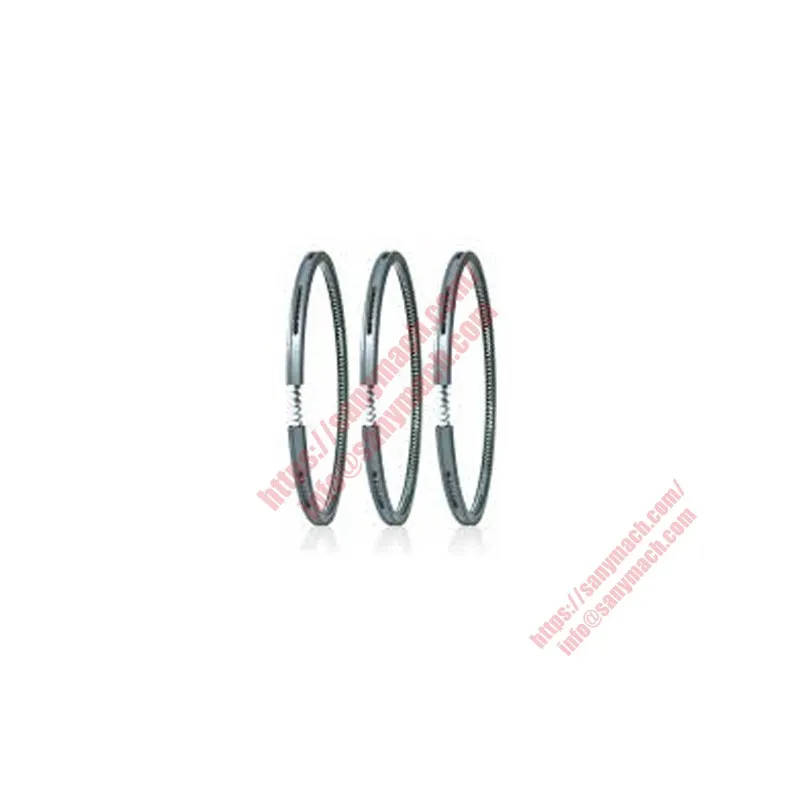 160102130003A022 Coil Spring Loaded Oil-control Ring