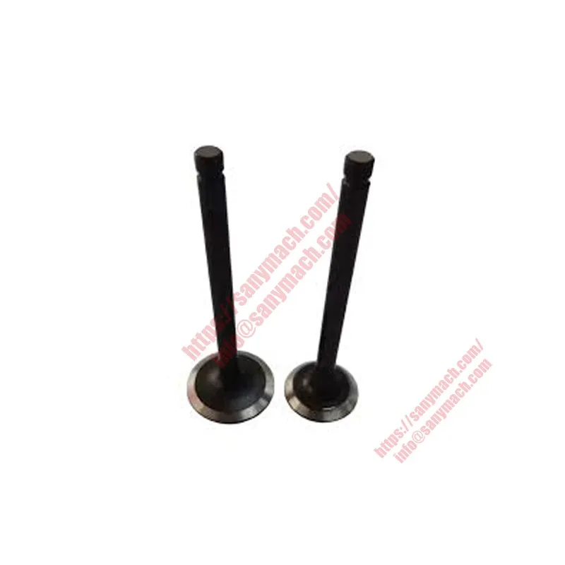 160102130004A015 Intake Valve