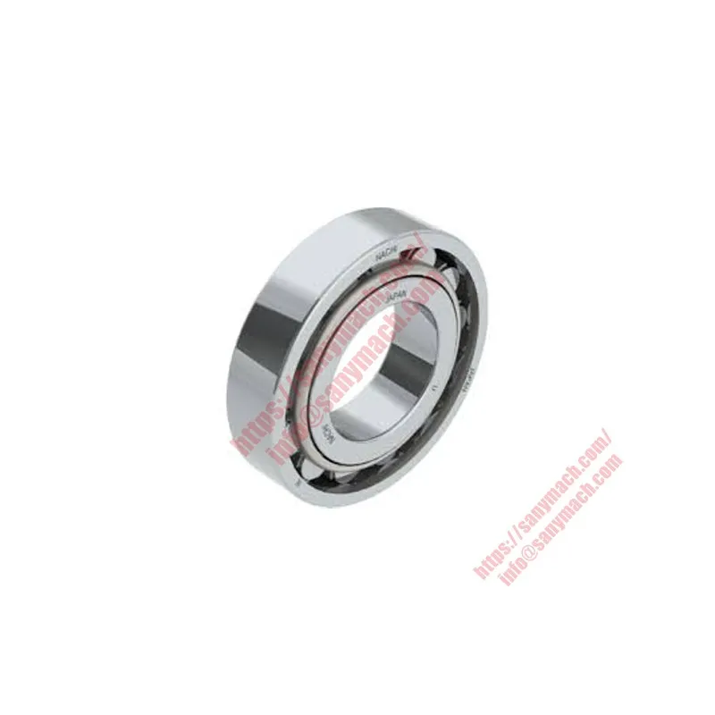 169900000095A Bearing, Cylindrical Roller