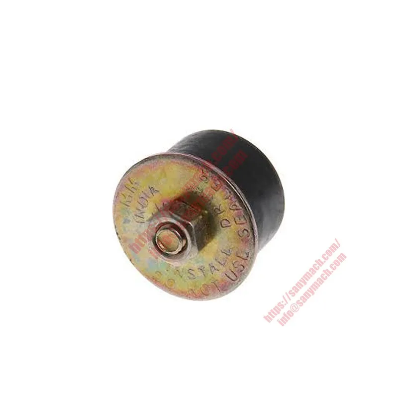 60352173 Plug, Expansion