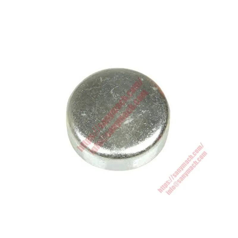 61000101 Plug, Expansion
